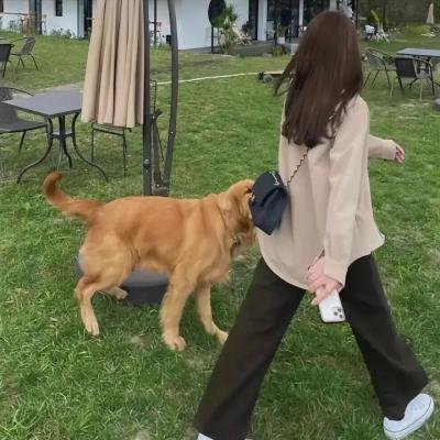 替补演员
