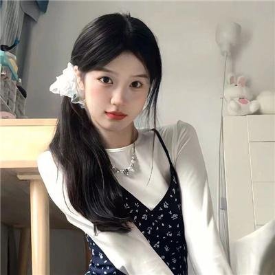 大偷记